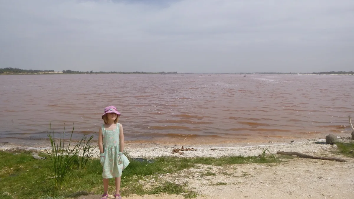 Senegal: 7 Remarkable & Unforgettable Things To Do With Kids: beaches, a pink lake (shown), a colonial, island and lots of wildlife are just a bit of what this Western African country has to offer.