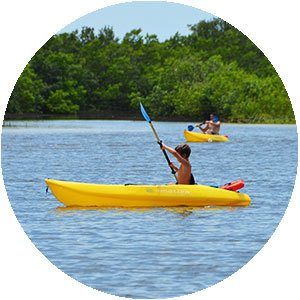 Kayaking on the paradise coast