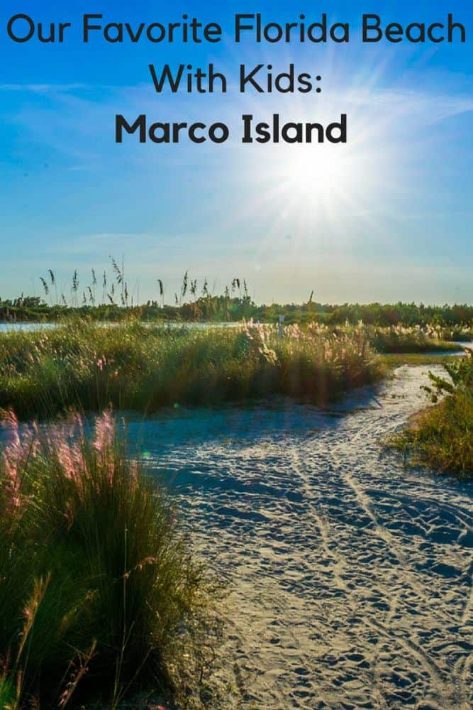 Marco island is the ideal base for a vacation with kids to florida's paradise coast. Here's where to stay, what to do and more. #marcoisland #paradisecoast #florida #thingstodo #kids #winterbreak