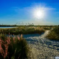 Marco Island is Paradise (Coast) For A Family Beach Vacation: Tiger Tail beach on the paradise coast at sunset.