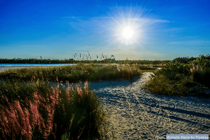 Paradise Coast: Florida’s Best Family Beach