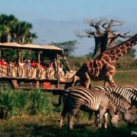 animal kingdom is one heck of a zoo