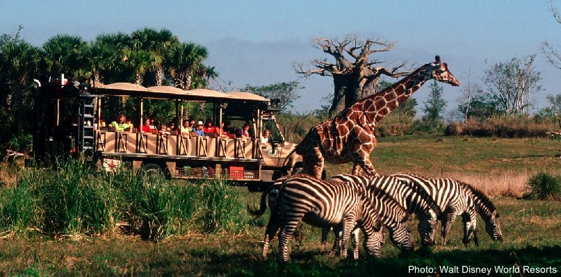 11 Top U.S. Zoos Your Family Will Be Wild About