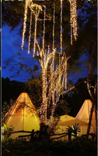 The singapore night safari is a unique zoo experience