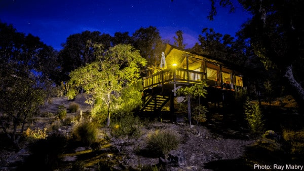 Safari west lets you glamp a the zoo