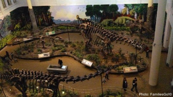 Dinosaur skeletons at the carnegie museums in pittsburgh