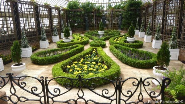 Artful flowers at the phipps conservatory in pittsburgh