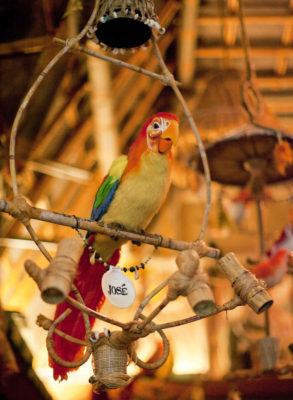 Jose the parrot performs at the enchanted tiki room. (paul hiffmeyer)