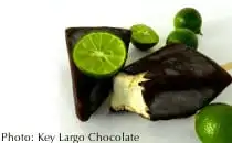 You have to eat key lime pie in the florida keys