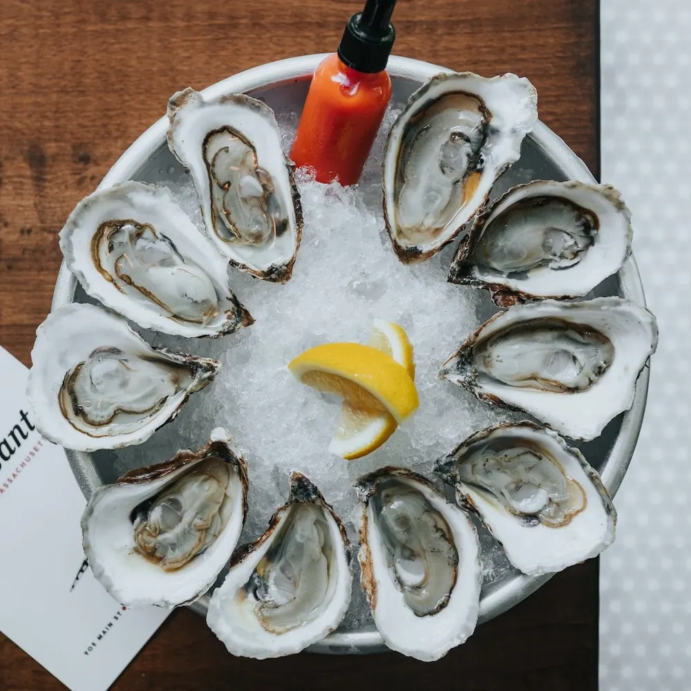 20 Kid-Friendly Restaurants For Cape Cod's Quintessential Foods Fresh local oysters are great date-night food at the pheasant on cape cod