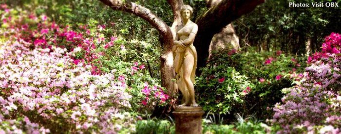 Elizabethan gardens