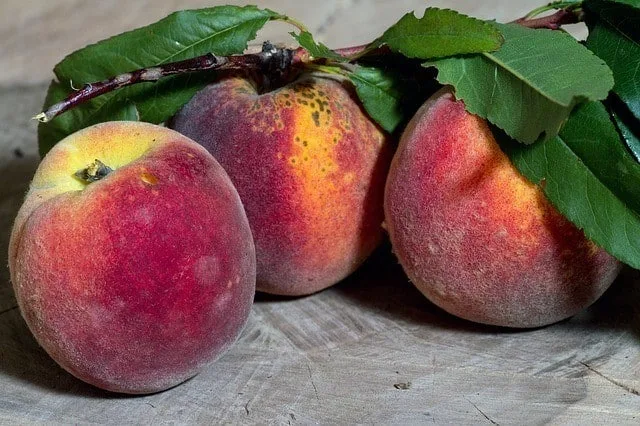 How To Get A Mom Time-Out On Business Trips peaches were the souvenir of my last mom cation