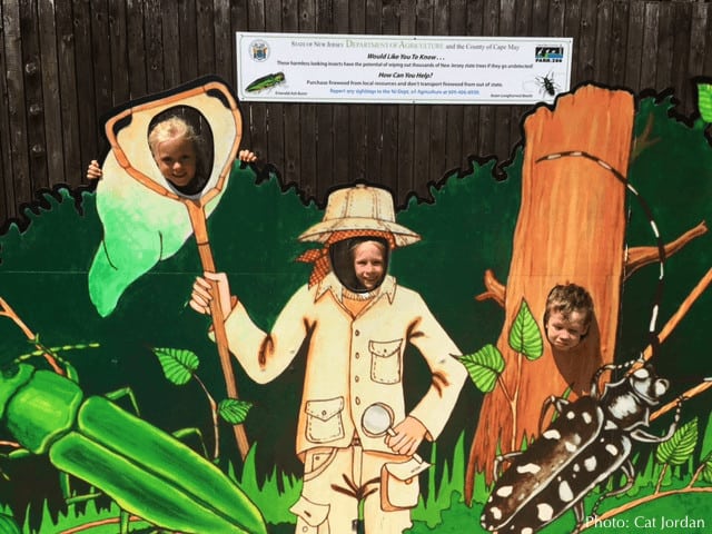 The cape may zoo