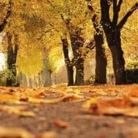 Fall foliage is a great reason to plan a fall family weekend getaway