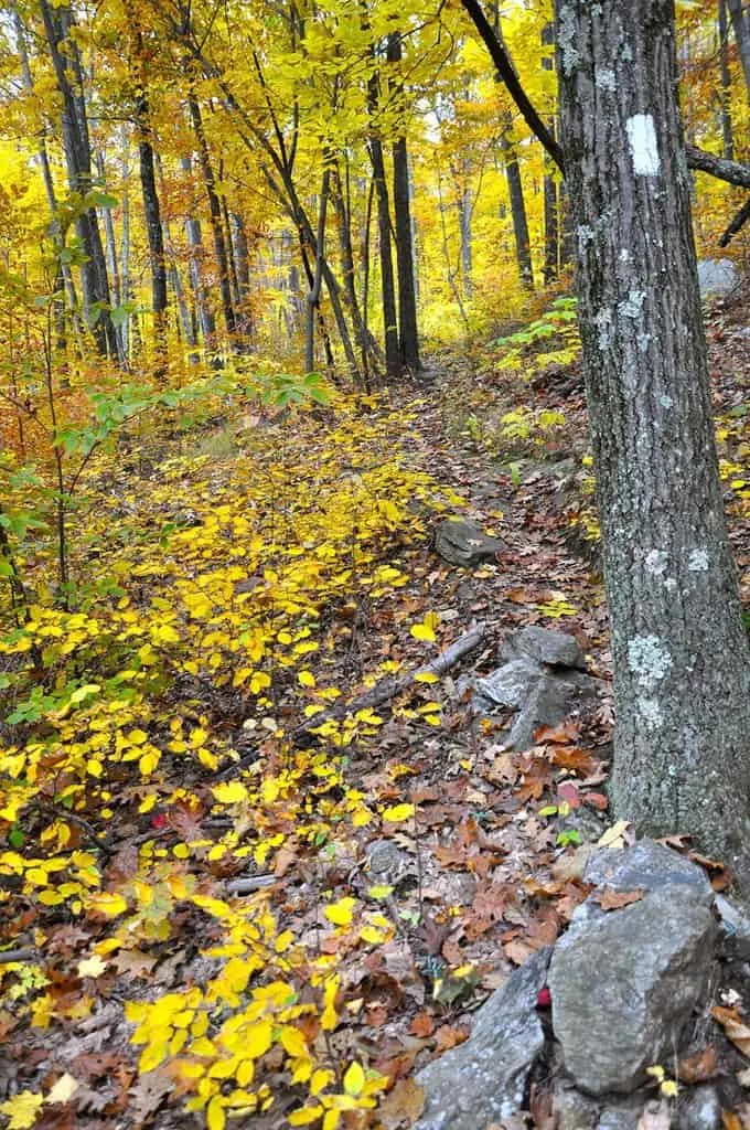 8 Places To Enjoy Spectacular Fall Foliage With Kids fall foliage in ct