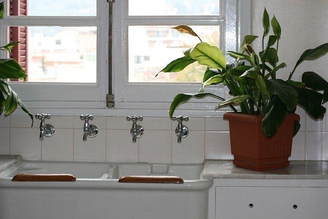 Make life easy for your plant sitter while you're on vacation