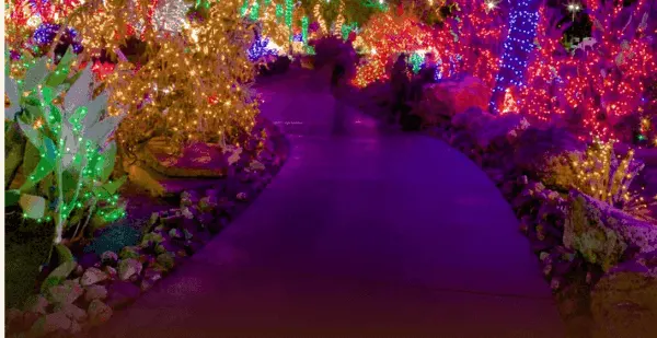 ethel m holiday cactus garden in las vegas puts is a colorful light display outdoors at christmastime. 