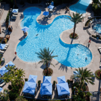 the Disneyland Hotel has a great pool