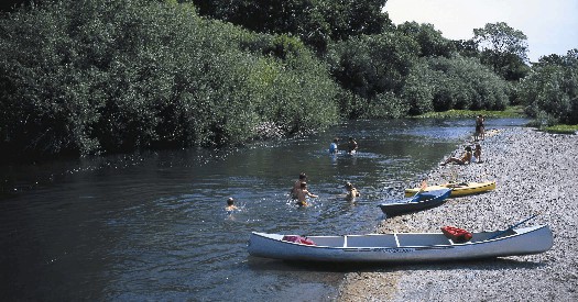 The russian river is a great spot for swimming and kayaking in sonoma