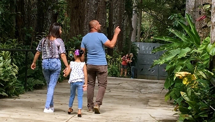 Zoo ave animal resscue center and preserve is a great place to take young children in costa rica
