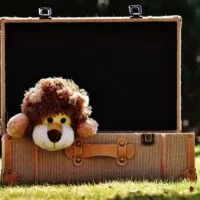 Favorite snugglies are among the things to not pack on your next vacation