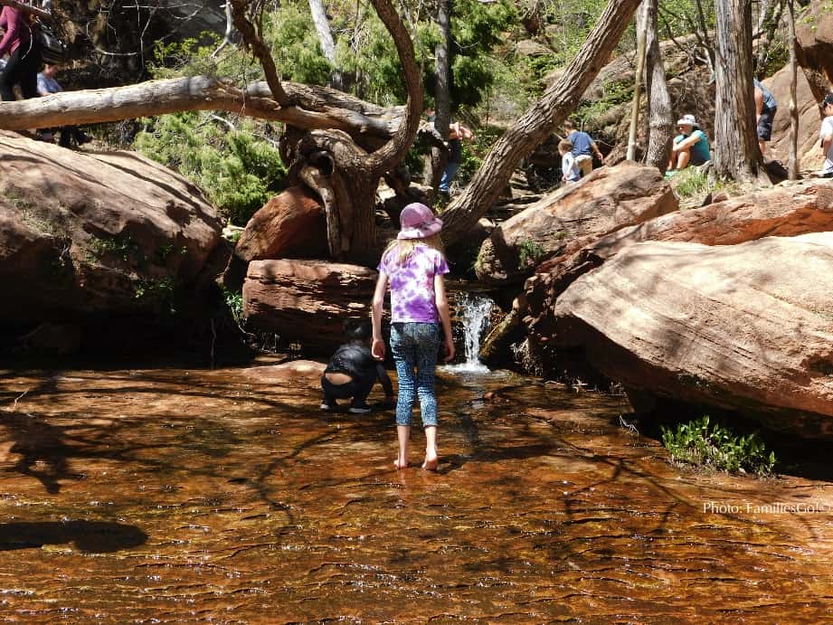The middle emerald pool in zion park is fun for kids big and small