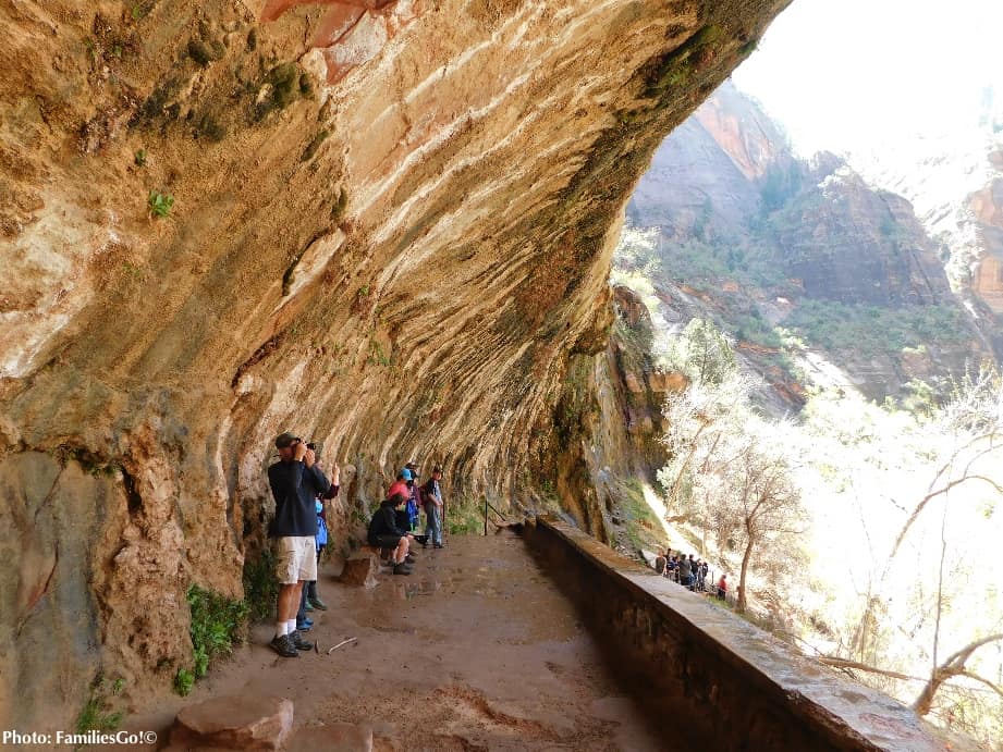 Weeping rock looks like a wave.