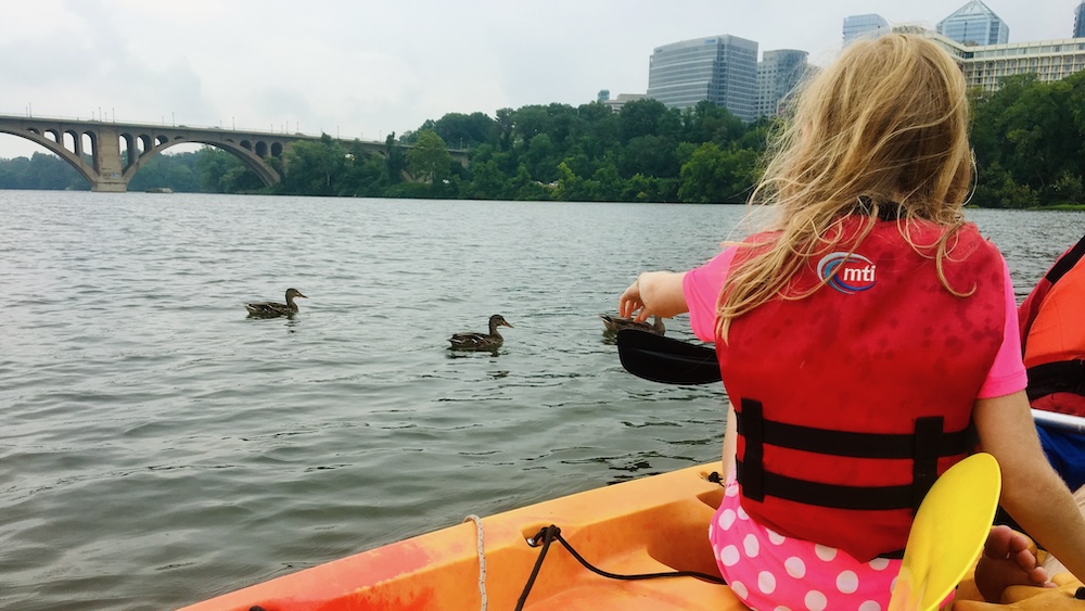 A girl kayaking on the potomac points to ducks in the water.