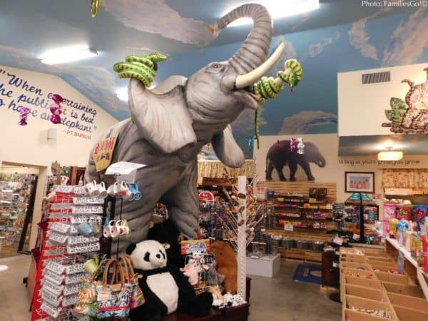 elephants at mr. ed's