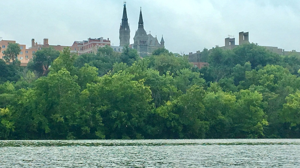 Georgetown seen above the treeline from the potomac river.