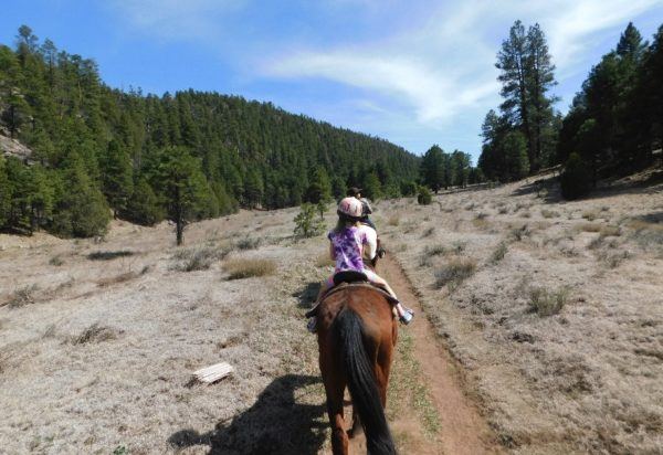 Horseback riding in the state forest outside of flagstaff