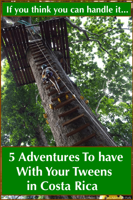 Families with older kids and tweens can have an amazing vacation in costa rica. You can explore national parks filled with birds and animals, learn to surf, splash in a hot springs water park or try a treetop adventure course. Read on!