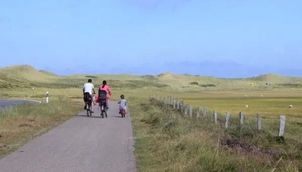 bicycle riding is a great activity for a family vacation, if you have realistic expectations.