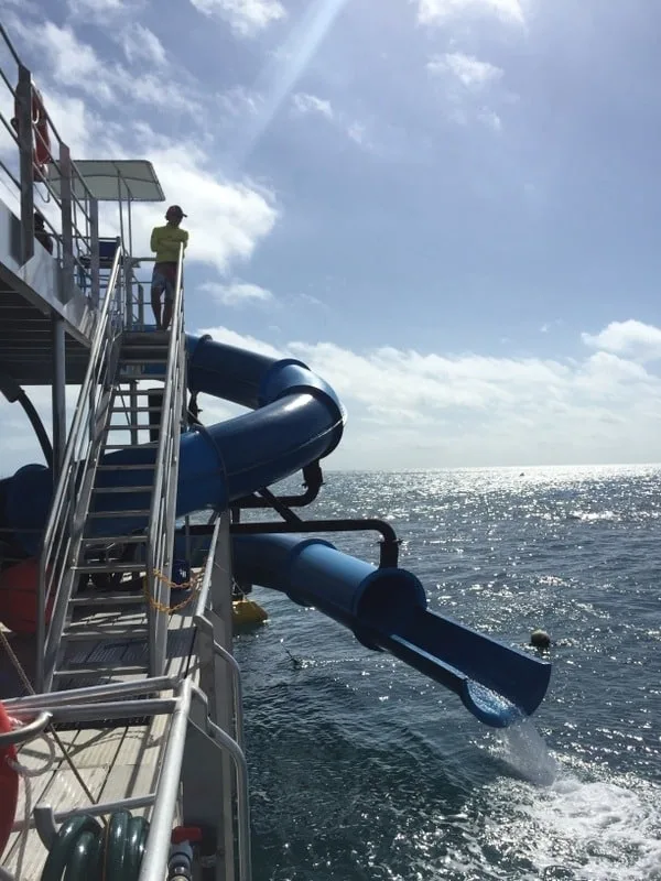 family friend barrier reef tour boats have slides like this