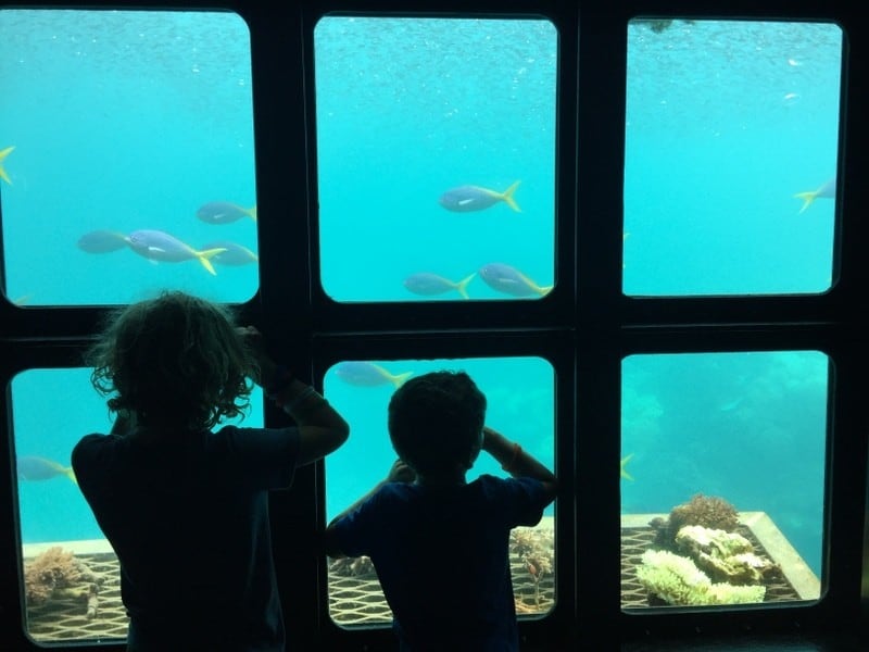It's easy to book a glass bottom boat to see australia's outer reef