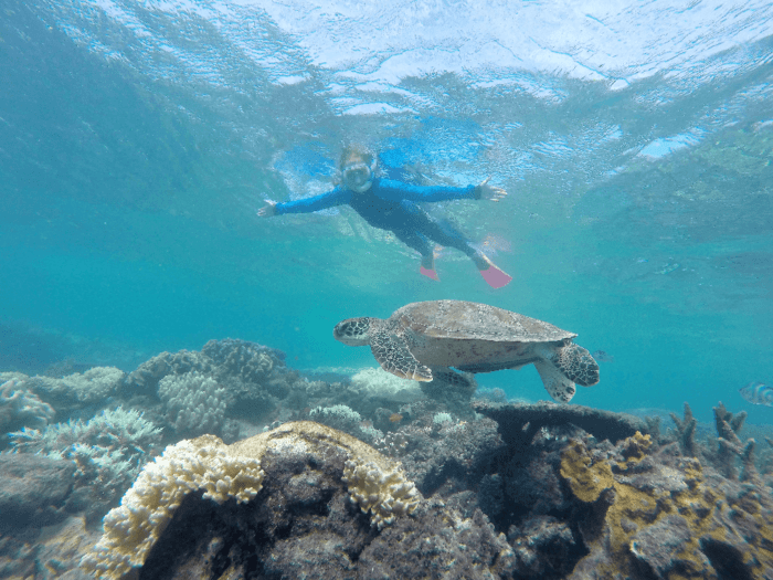 How To Do A Great Barrier Reef Vacation With Kids