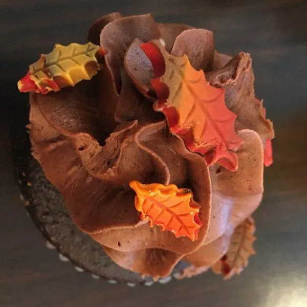 a cupcake from the woodloch bakery
