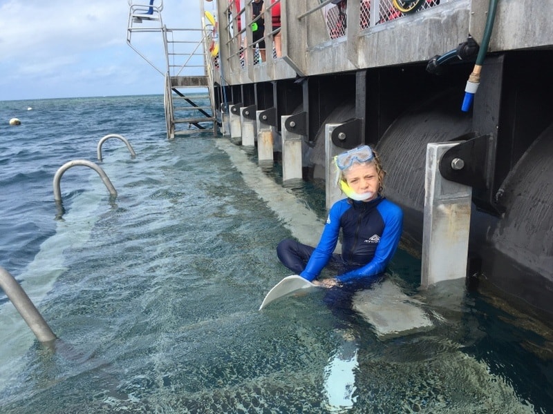 snorkeling the gbr is easy on large tour boats equipped for it. 