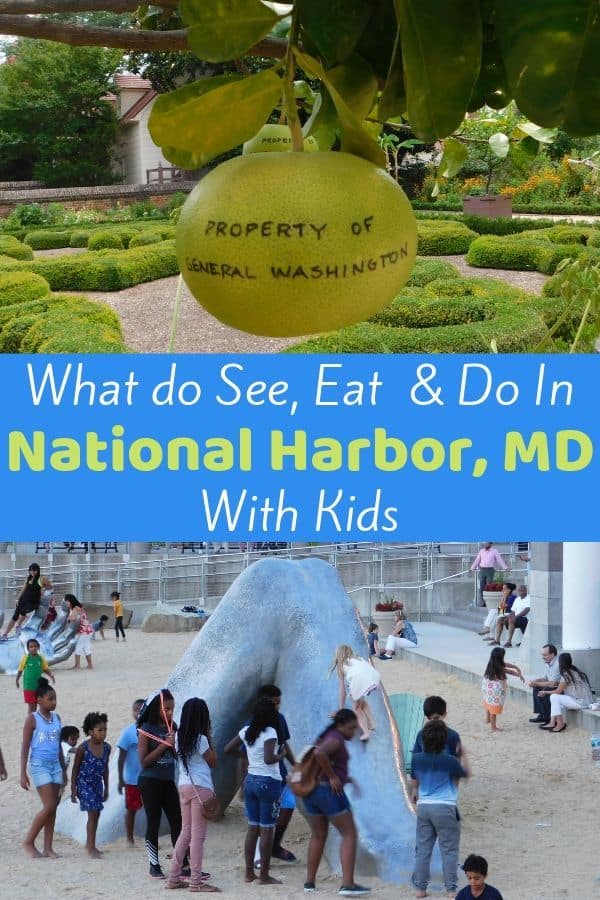 National harbor kids