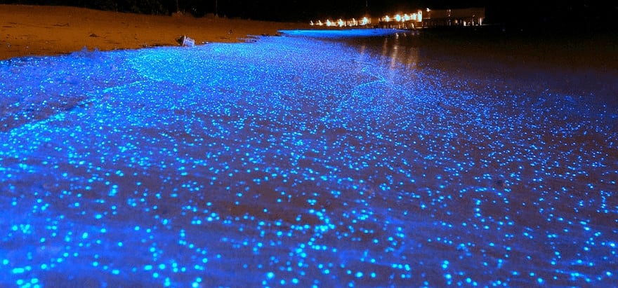 water sparkles like diamonds on the maldives