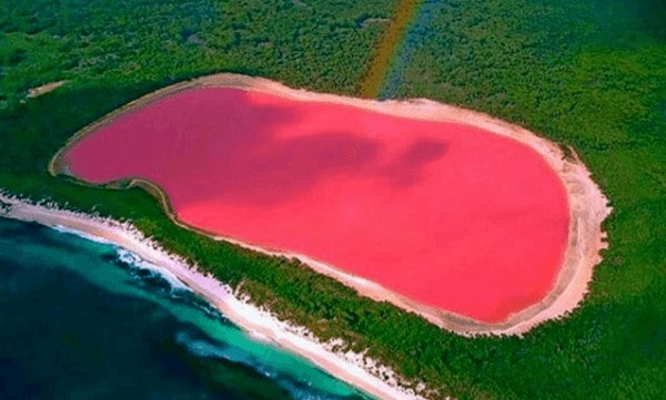 Swim in a pink lake in australia