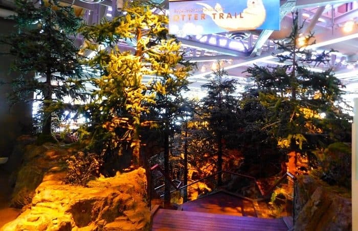 The shedd takes you to the pacific northwest