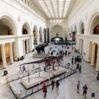 The Field Museum captures kids as soon as they walk in.