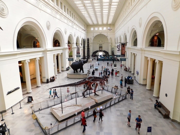 The Field Museum captures kids as soon as they walk in.