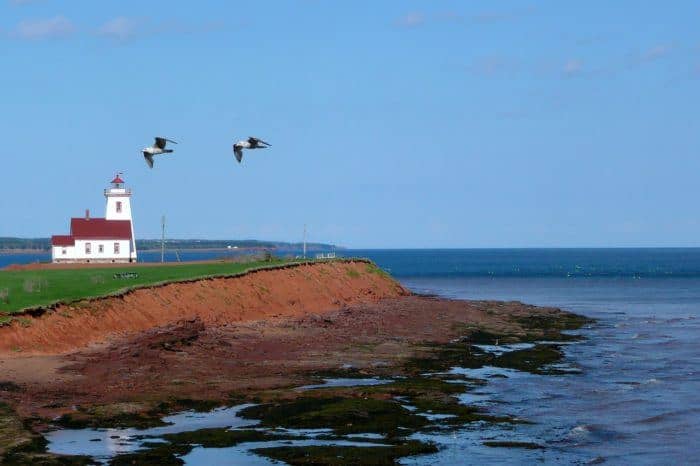 Prince edward island's seaside cottages and lighthouses