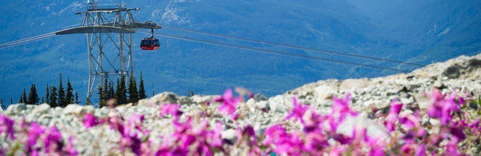 Whistler's summer gondola