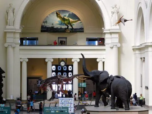 memberships at natural history museums like chicago's field museum, pictured,  are handy for family with kids of different ages.