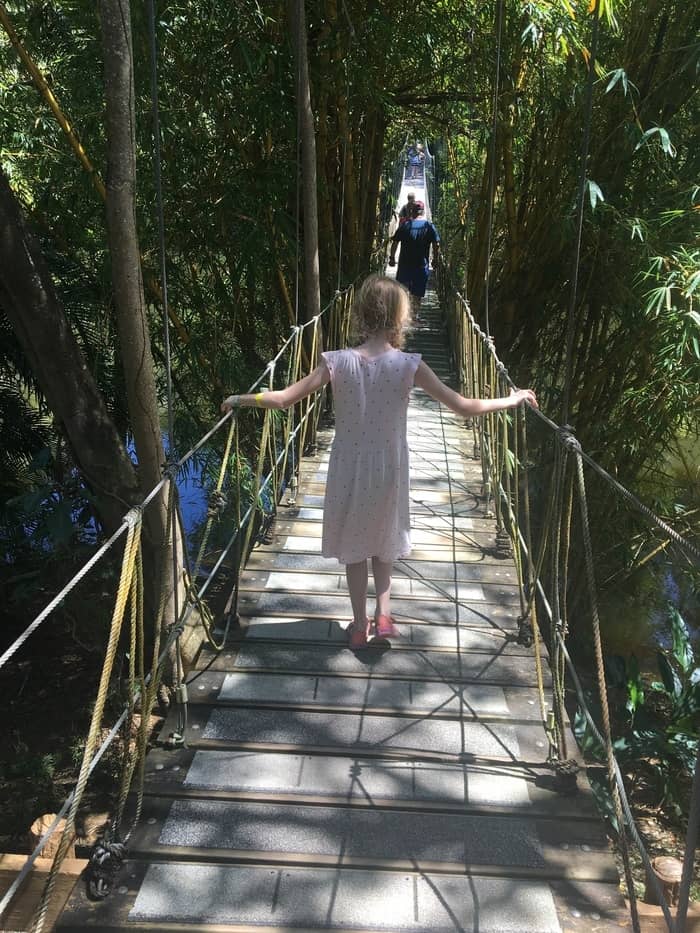 The hanging bridge at gumbalimba