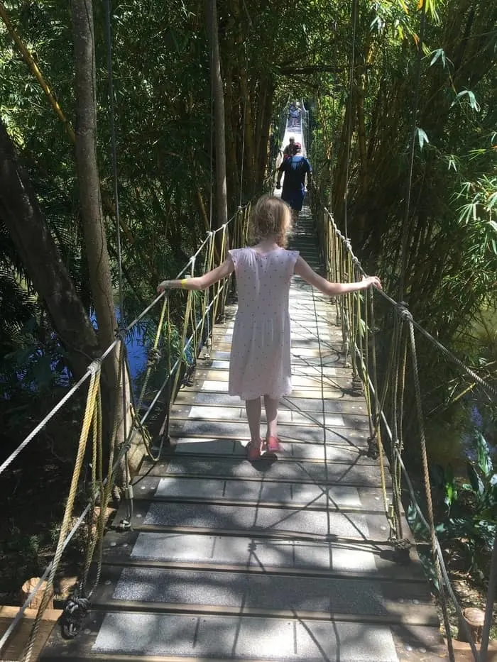 the hanging bridge at gumbalimba