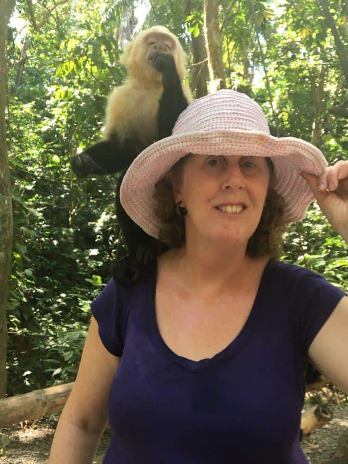 Honduran capuchin monkey